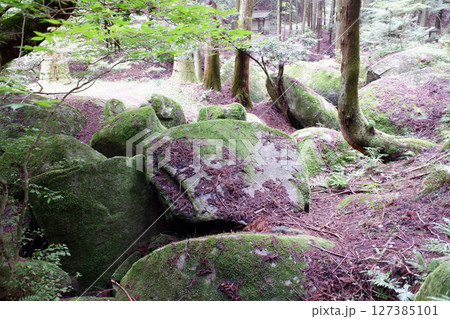 栃木県　名草巨石群 127385101