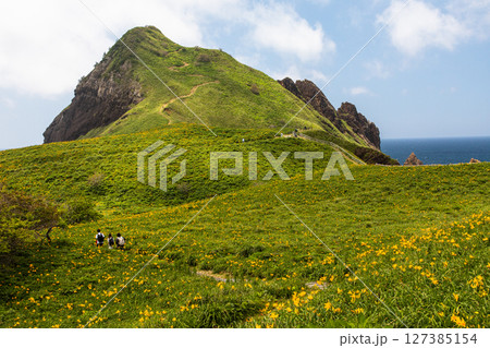 【新潟県_大野亀】花の島 佐渡 大地を埋め尽くす黄色い絨毯に､紺碧の日本海 5月 6月 127385154