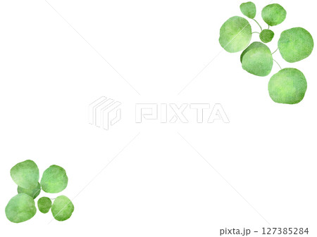 緑 植物 水彩 葉 イラスト 緑 植物 水彩 葉 イラスト 127385284