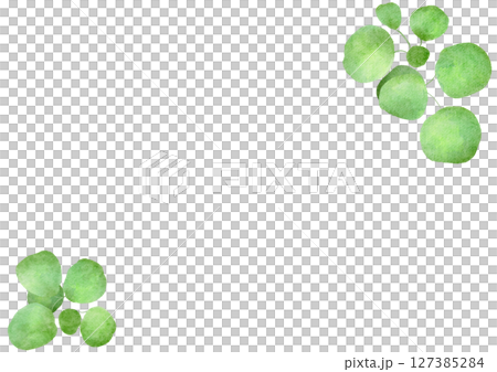Green plant watercolor leaf illustration 127385284