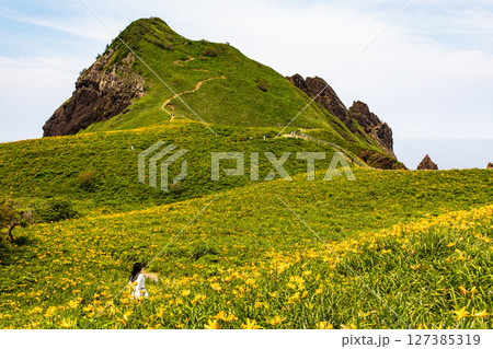 【新潟県_大野亀】花の島 佐渡 大地を埋め尽くす黄色い絨毯に､紺碧の日本海 5月 6月 127385319
