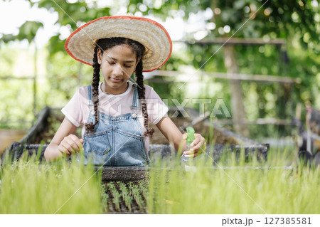 Girl wearing straw Hat tending to work in nursery arranging young rice plants and breeding seedlings in greenhouse. Engaging in Gardening Activities. showcasing her dedication to farming. 127385581
