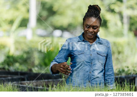 Black female african american work in nursery, carefully arranging young rice plants in trays. The sunlight filters through the trees, showcasing her dedication to farming. Black female african american work in nursery, carefully arranging young rice plants in trays. The sunlight filters through the trees, showcasing her dedication to farming. 127385601