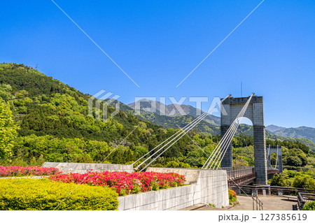 《戸川公園》新緑に包まれる風の吊り橋（（神奈川県秦野市） 127385619