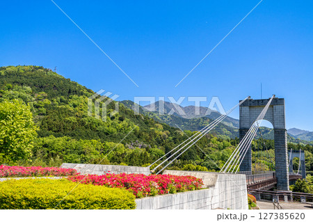 《戸川公園》新緑に包まれる風の吊り橋（（神奈川県秦野市） 127385620