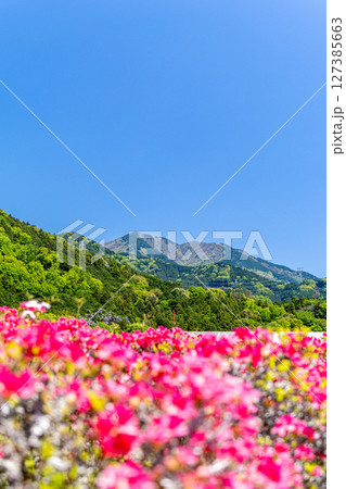 ツツジ咲く山から望む南の山々 ツツジ咲く山から望む南の山々 127385663