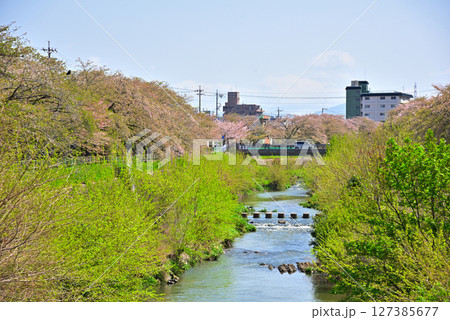 《愛知県》名古屋市香流川の桜並木 《愛知県》名古屋市香流川の桜並木 127385677