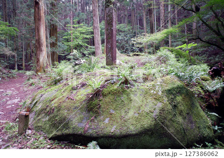 栃木県 名草巨石群 栃木県 名草巨石群 127386062