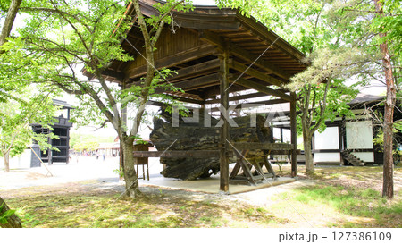 延命千年杉　えさし藤原の郷　岩手県 127386109