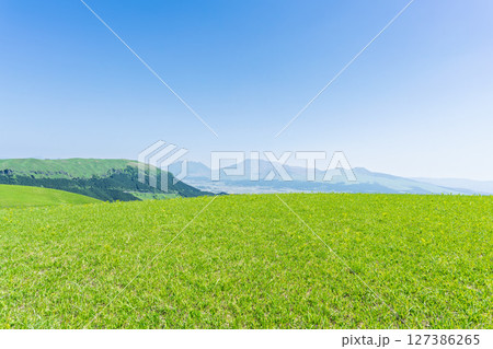 阿蘇山を背景に映える絶景ドライブ美景絶景を求めて草原の中を駆けぬける風景(阿蘇市) 阿蘇山を背景に映える絶景ドライブ美景絶景を求めて草原の中を駆けぬける風景(阿蘇市) 127386265