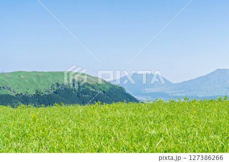 阿蘇山を背景に映える絶景ドライブ美景絶景を求めて草原の中を駆けぬける風景(阿蘇市) 阿蘇山を背景に映える絶景ドライブ美景絶景を求めて草原の中を駆けぬける風景(阿蘇市) 127386266