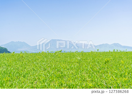 阿蘇山を背景に映える絶景ドライブ美景絶景を求めて草原の中を駆けぬける風景(阿蘇市) 127386268