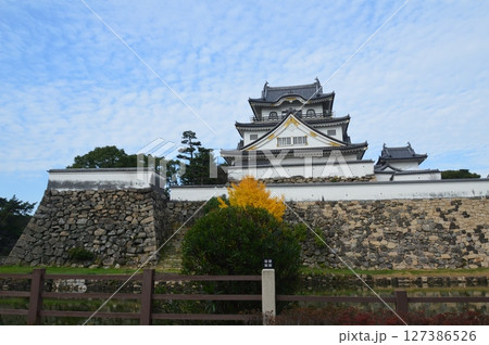 岸和田城(大阪府岸和田市岸城町) 岸和田城(大阪府岸和田市岸城町) 127386526