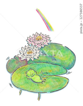 睡蓮の葉っぱで昼寝するカエルのイラスト 睡蓮の葉っぱで昼寝するカエルのイラスト 127386537