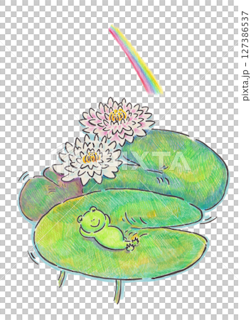睡蓮の葉っぱで昼寝するカエルのイラスト 睡蓮の葉っぱで昼寝するカエルのイラスト 127386537
