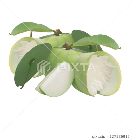 funny clown isolated on white 127386915