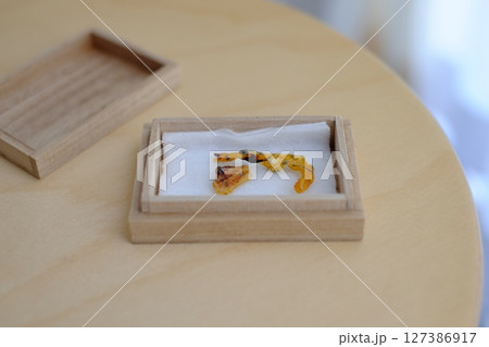 年月がたったへその緒 127386917