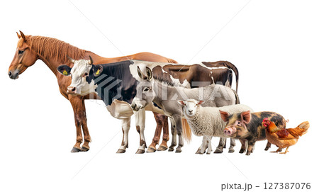 Various animals on a farm are standing together in a row, isolated, created with Generative AI 127387076