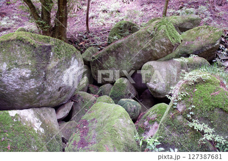 栃木県　名草巨石群 127387681