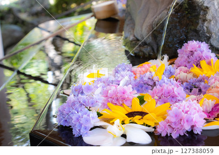 夏の花が浮かぶ涼しげな花手水 夏の花が浮かぶ涼しげな花手水 127388059
