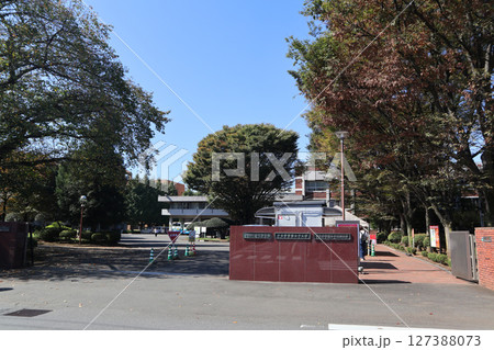 十文字学園女子大学 127388073