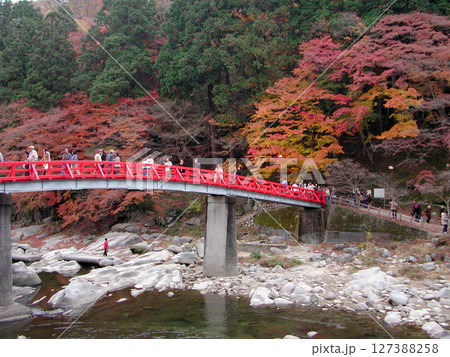 Korankei area Toyota / 紅葉の景勝地,紅葉の観光スポット~愛知県豊田市の香嵐渓 Korankei area Toyota / 紅葉の景勝地,紅葉の観光スポット~愛知県豊田市の香嵐渓 127388258