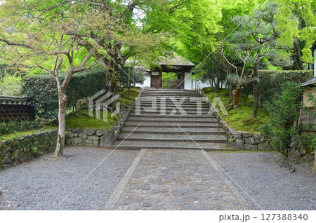 安楽寺の山門（京都市左京区鹿ケ谷御所ノ段町21） 127388340