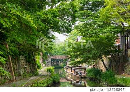 新緑の近江八幡堀水郷めぐり 127388474