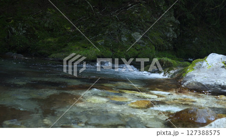 みたらい渓谷（奈良,自然,日本） 127388575