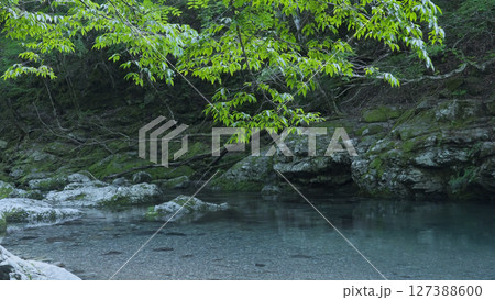 みたらい渓谷(奈良,自然,日本) みたらい渓谷(奈良,自然,日本) 127388600