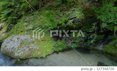 みたらい渓谷（奈良,ドローン空撮,日本） 127388720