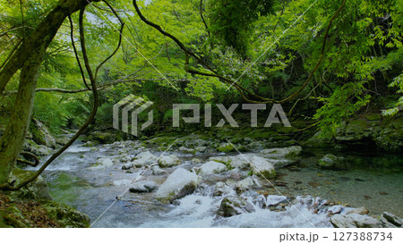 みたらい渓谷（奈良,ドローン空撮,日本） 127388734