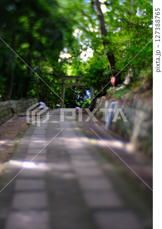 ある神社の石畳の道 127388765