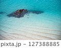透明度の高い海 127388885