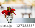 ガラス瓶に活けた赤い花 127388887