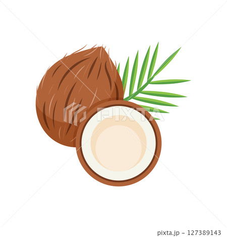 Coconut icon in flat style. Healthy food vector illustration on isolated background. Coco plant sign business concept. Coconut icon in flat style. Healthy food vector illustration on isolated background. Coco plant sign business concept. 127389143