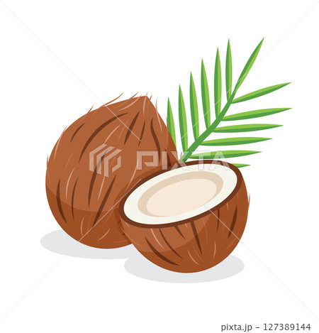 Coconut icon in flat style. Healthy food vector illustration on isolated background. Coco plant sign business concept. Coconut icon in flat style. Healthy food vector illustration on isolated background. Coco plant sign business concept. 127389144