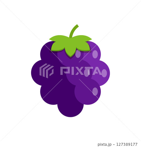 Blackberry fruit icon in flat style. Grape berry vector illustration on isolated background. Nature snack sign business concept. 127389177