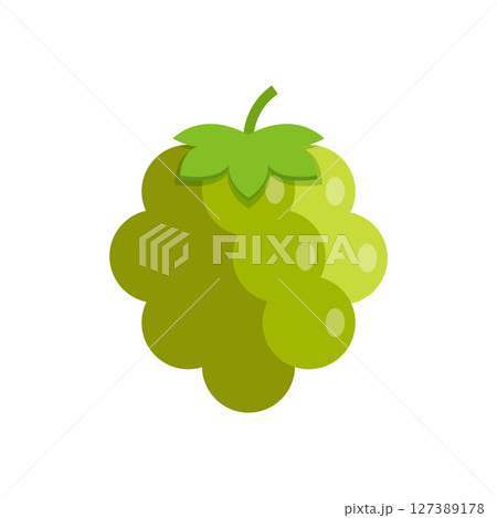 Grape fruit icon in flat style. Grape berry vector illustration on isolated background. Nature snack sign business concept. 127389178