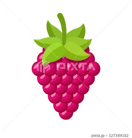 Raspberry fruit icon in flat style. Raspberries berry vector illustration on isolated background. Nature snack sign business concept. 127389182