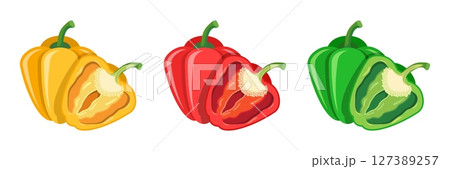 Pepper bell icon set collection in flat style. Fresh paprika vector illustration on isolated background. Healthy food sign business concept. 127389257