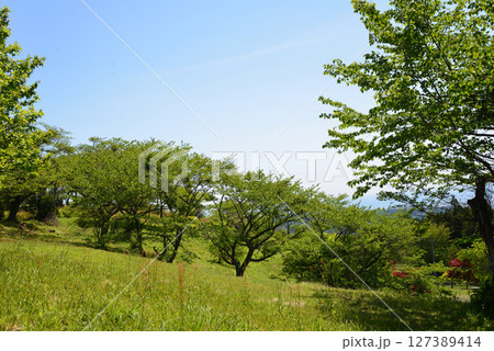 童謡の森ふれあいパーク　2025-5-3　＃25 127389414