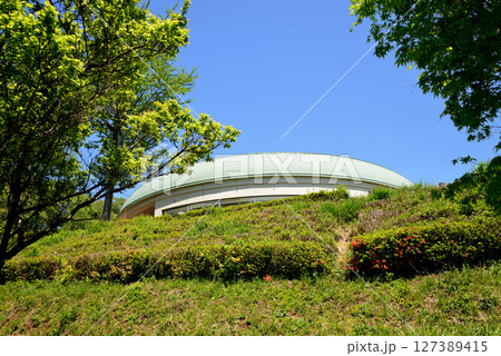 童謡の森ふれあいパーク　2025-5-3　＃26 127389415