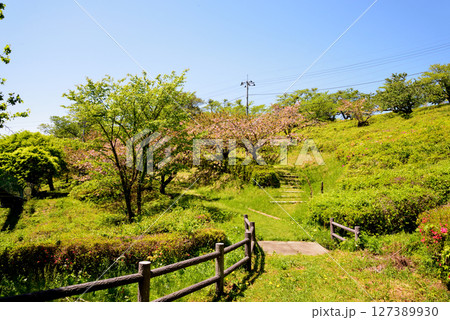 童謡の森ふれあいパーク 2025-5-3 #31 童謡の森ふれあいパーク 2025-5-3 #31 127389930