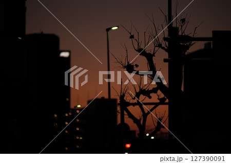 夕焼け空 127390091
