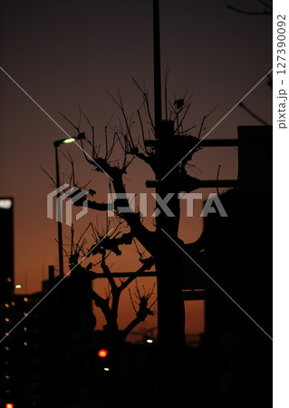夕焼け空 127390092