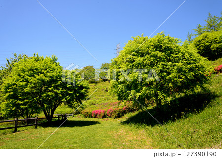 童謡の森ふれあいパーク　2025-5-3　＃47 127390190