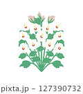 韓国の花のムクゲのベタ塗り風 127390732
