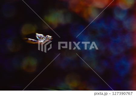 夜空を舞う蝶 夜空を舞う蝶 127390767