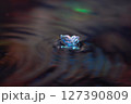 水面に漂う花 127390809